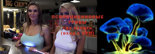 прущие грибы Алексин