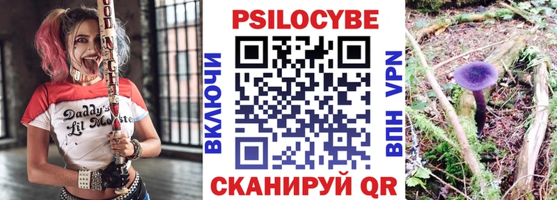 цены   Березники  Галлюциногенные грибы Psilocybine cubensis 